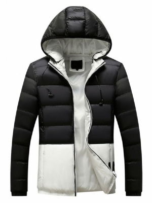 Letter Standard European Zipper Miesten Untuvatakki
