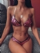 Violetti