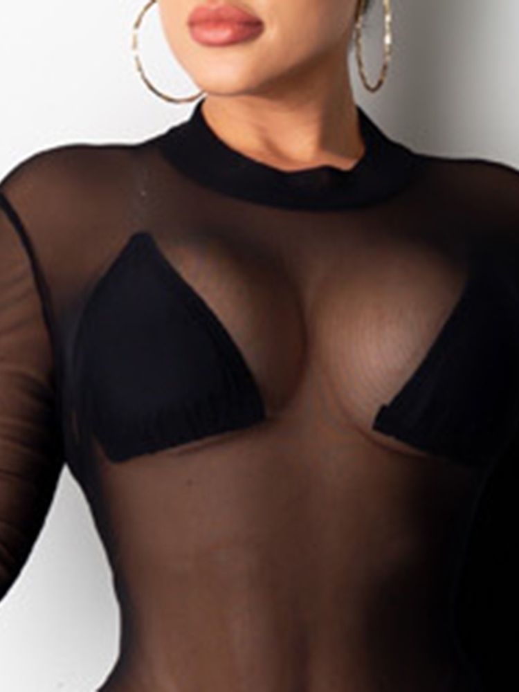 Naisten Pyöreä Kaula-aukkoinen Läpinäkyvä Yksivärinen Bodycon-mekko
