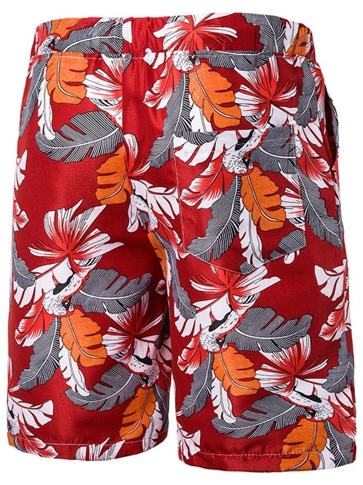 Print Plant Casual Lace-up Miesten Rento Shorts
